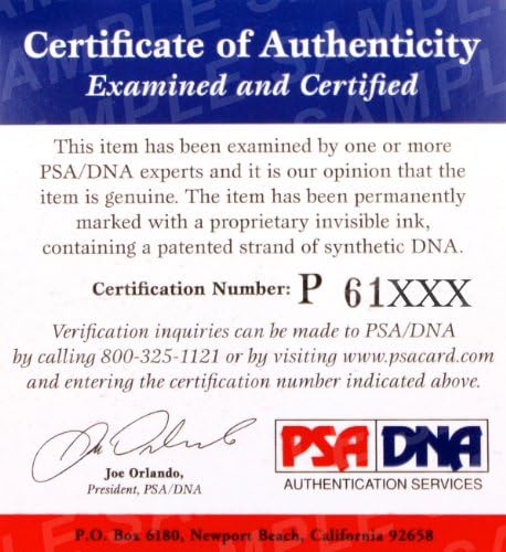 Bruno Sammartino potpisao je WWE igrački pojas PSA/DNA CoA wwwf WWF Champion Autograph - Autographd Wrestling haljine, debla i pojasevi