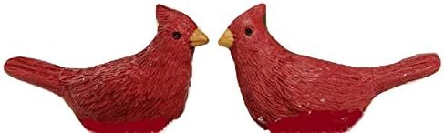 Skup kanti za cvjetanje od 2 mini crvene ptice-kardinale