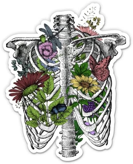 Cvjetni kostur Botanika Lijepa naljepnica - naljepnica od 3 prijenosnog računala - vodootporni vinil za automobil, telefon, boca s