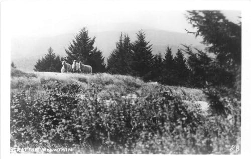 Mountain Stratton, razglednica u Vermontu