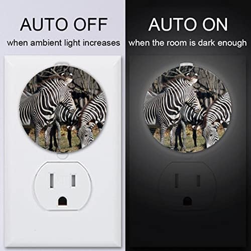 2 pakiranja plug-in noćna svjetlost LED NOĆ LIGHT Afrika divlja životinja Zebra sa sumračnim senzorom za dječju sobu, vrtić, kuhinju,